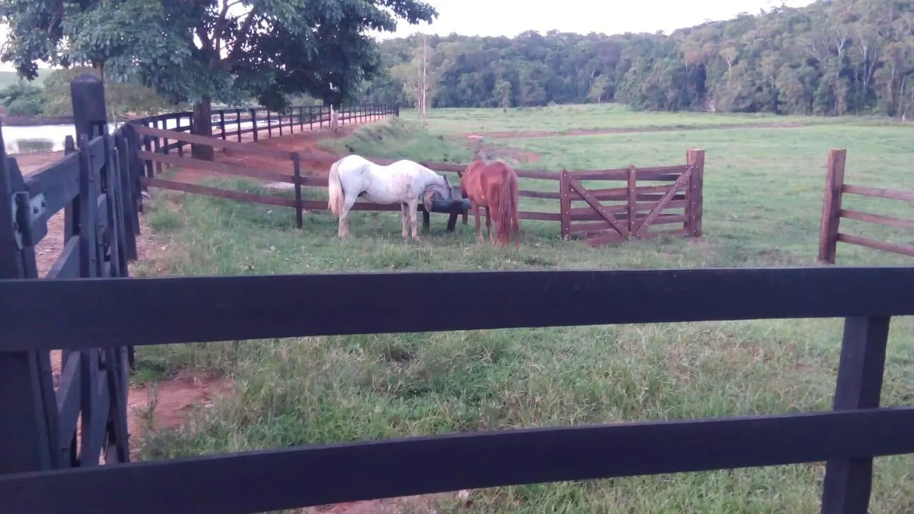 Fazenda à venda de 370 ha em Registro, SP, Brasil