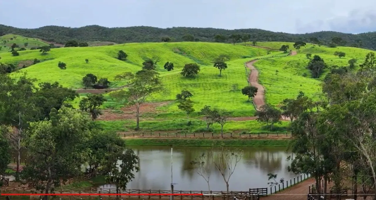 Fazenda à venda de 1.152 ha em Pirenópolis, GO, Brasil