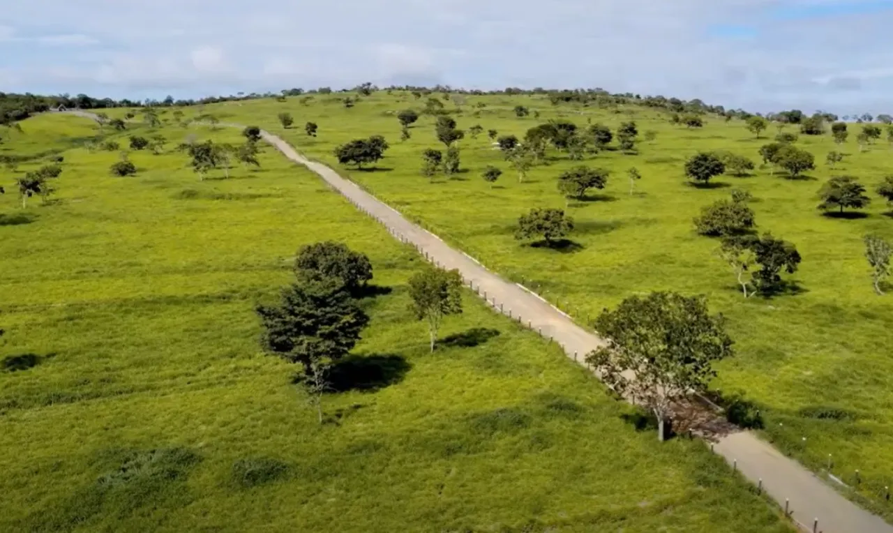 Fazenda à venda de 1.152 ha em Pirenópolis, GO, Brasil