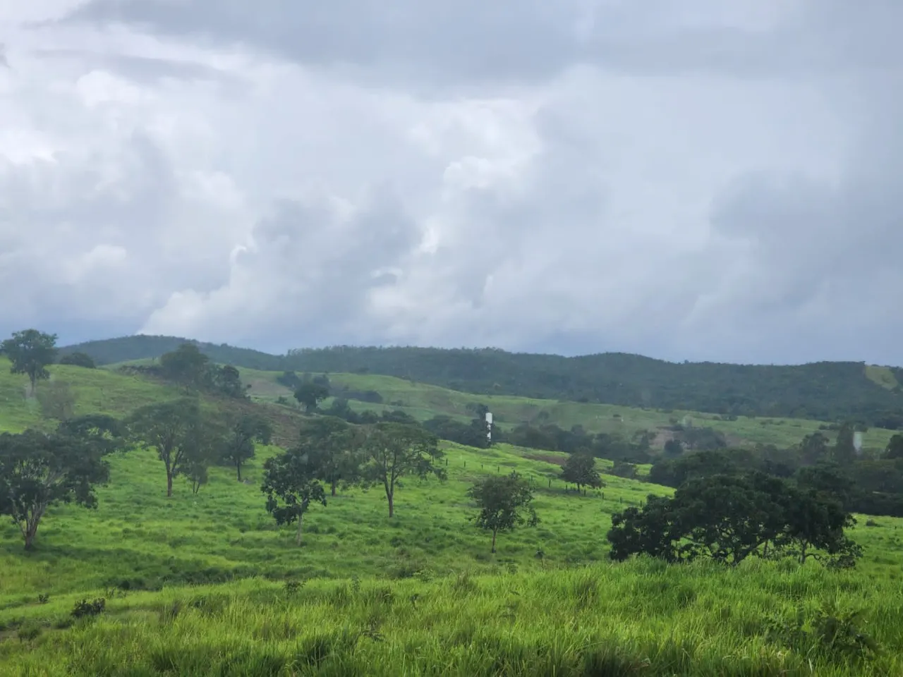 Fazenda à venda de 1.152 ha em Pirenópolis, GO, Brasil