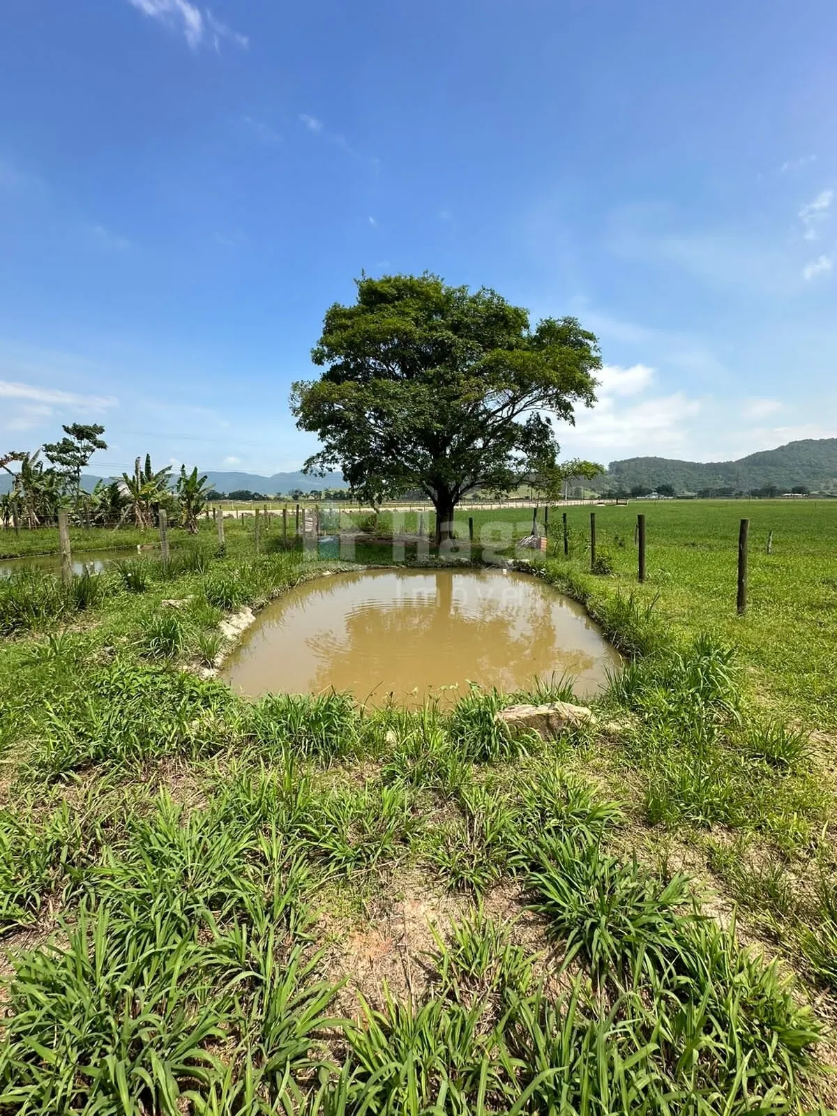 House for sale of 800 m² in Tijucas, SC, Brazil