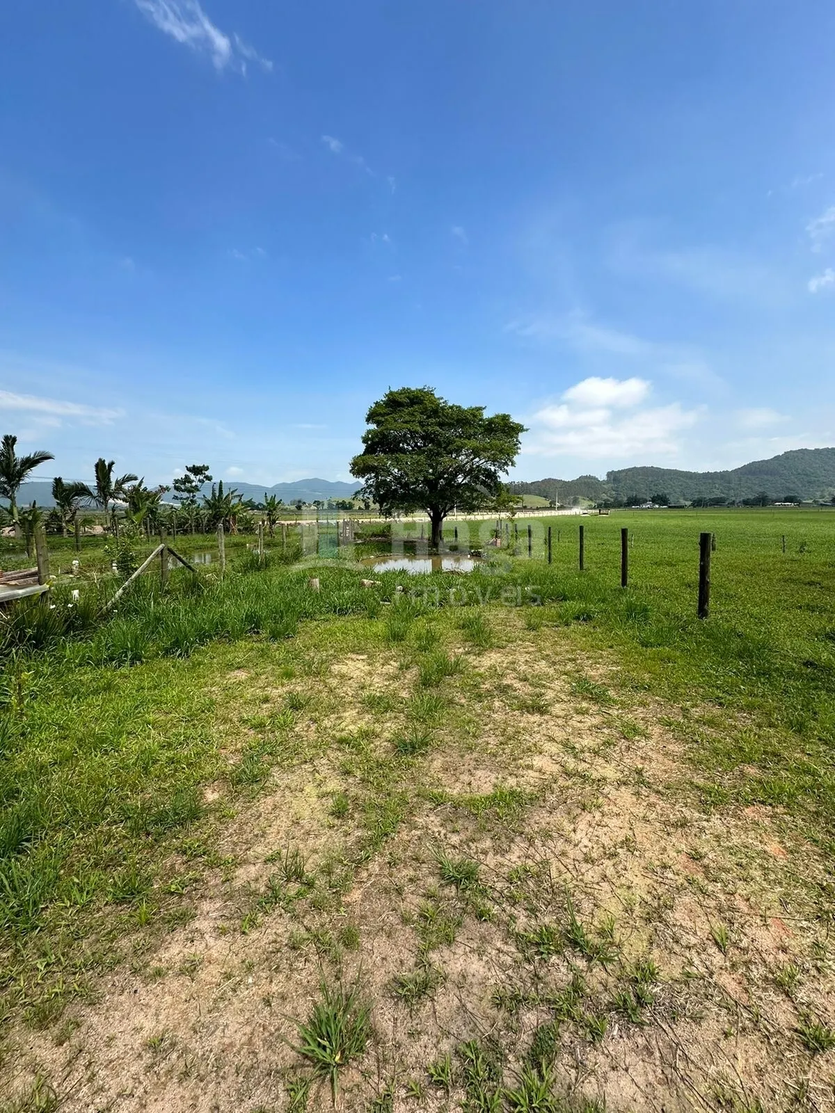 House for sale of 800 m² in Tijucas, SC, Brazil