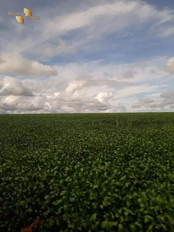 Fazenda à venda de 4.773 ha em Nova Xavantina, MT, Brasil