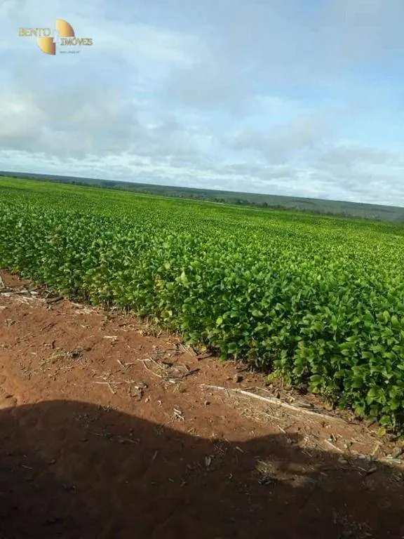 Fazenda à venda de 4.773 ha em Nova Xavantina, MT, Brasil