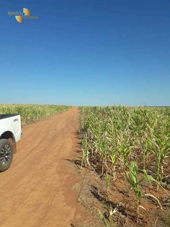Fazenda à venda de 4.773 ha em Nova Xavantina, MT, Brasil
