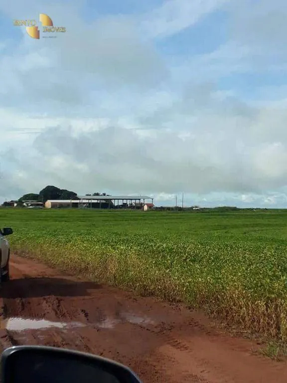 Fazenda à venda de 4.773 ha em Nova Xavantina, MT, Brasil
