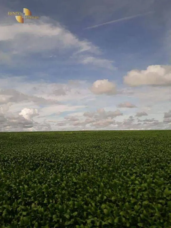 Fazenda à venda de 4.773 ha em Nova Xavantina, MT, Brasil