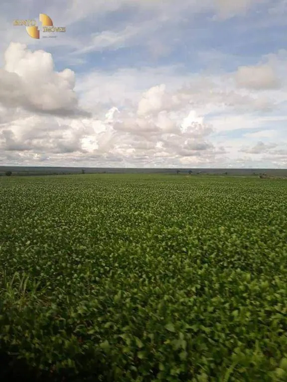 Fazenda à venda de 4.773 ha em Nova Xavantina, MT, Brasil