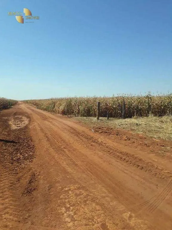 Fazenda à venda de 4.773 ha em Nova Xavantina, MT, Brasil