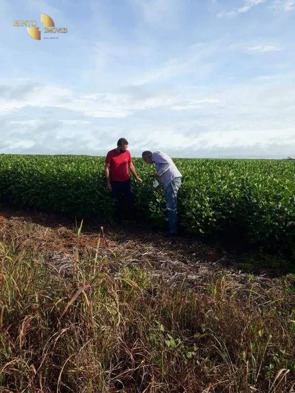 Fazenda à venda de 4.773 ha em Nova Xavantina, MT, Brasil