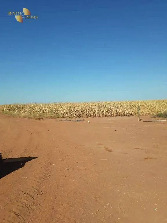 Fazenda à venda de 4.773 ha em Nova Xavantina, MT, Brasil
