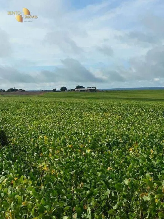 Fazenda à venda de 4.773 ha em Nova Xavantina, MT, Brasil