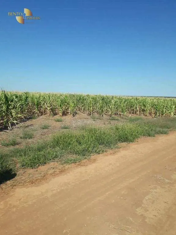 Fazenda à venda de 4.773 ha em Nova Xavantina, MT, Brasil