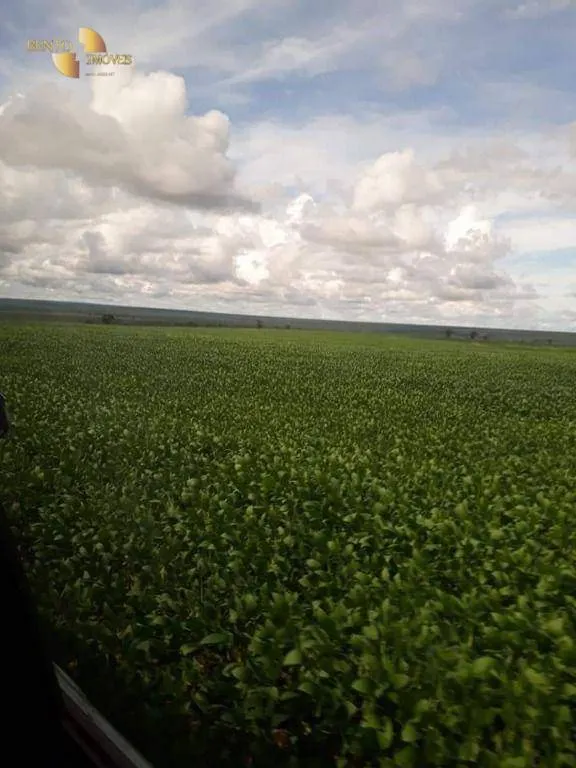 Fazenda à venda de 4.773 ha em Nova Xavantina, MT, Brasil