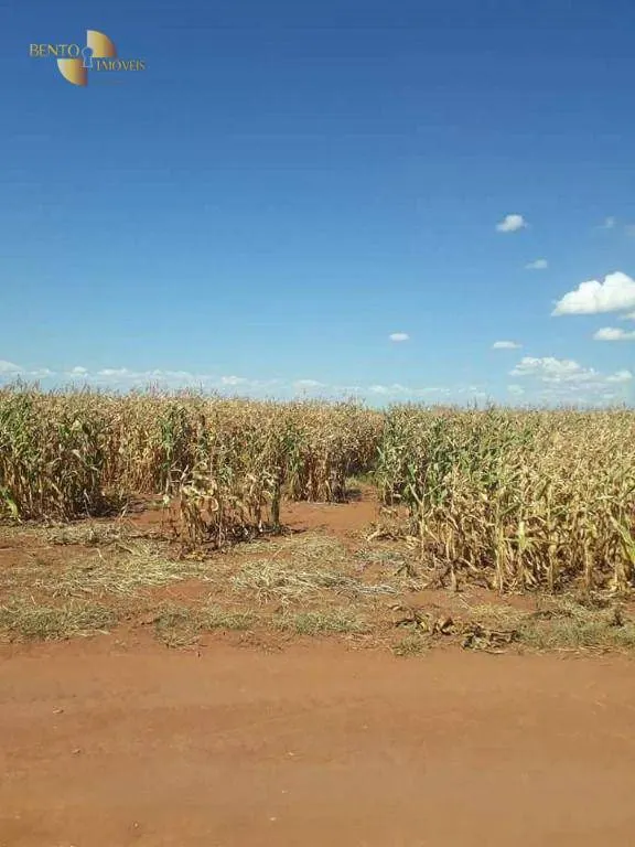 Fazenda à venda de 4.773 ha em Nova Xavantina, MT, Brasil