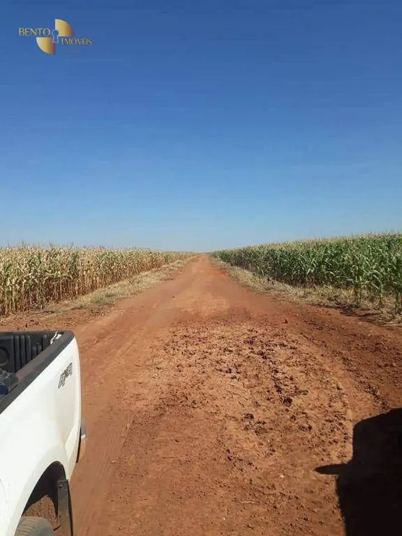 Fazenda à venda de 4.773 ha em Nova Xavantina, MT, Brasil