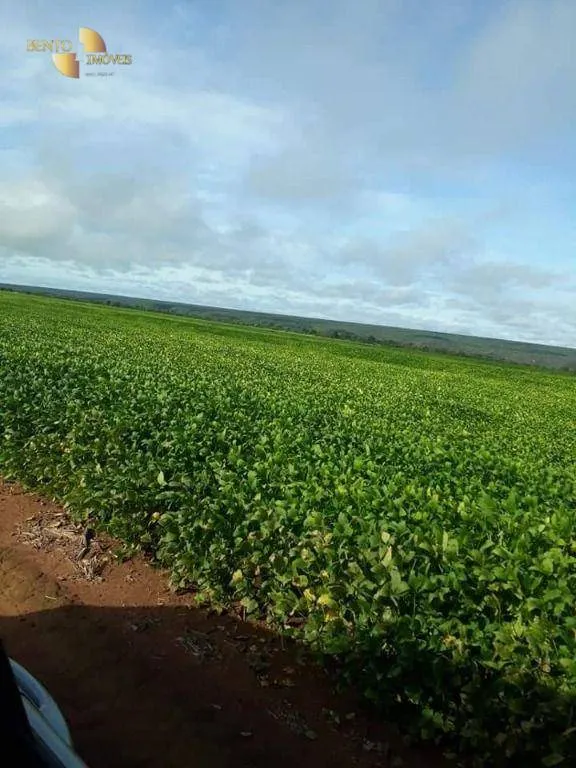 Fazenda à venda de 4.773 ha em Nova Xavantina, MT, Brasil