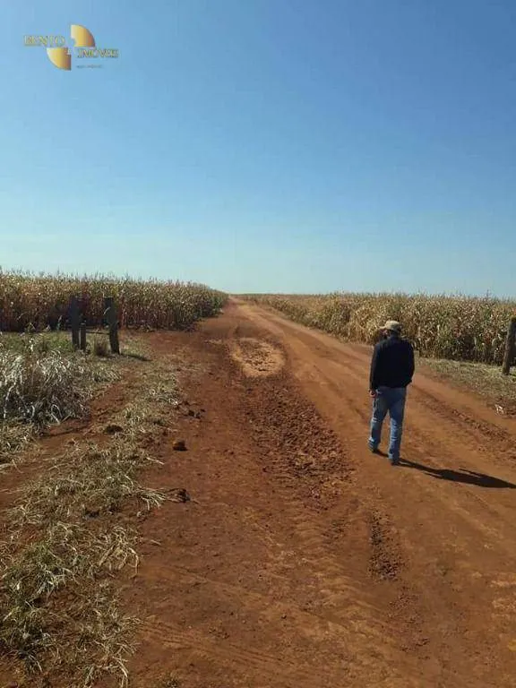 Fazenda à venda de 4.773 ha em Nova Xavantina, MT, Brasil