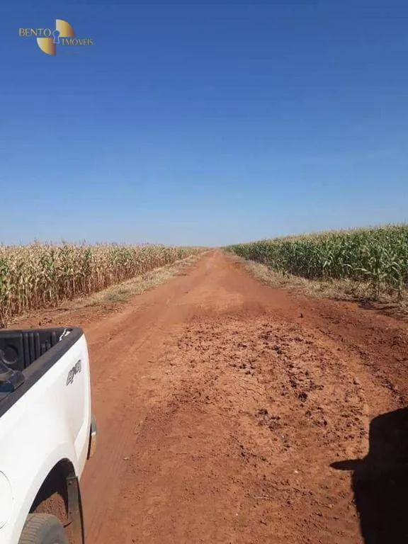 Fazenda à venda de 4.773 ha em Nova Xavantina, MT, Brasil