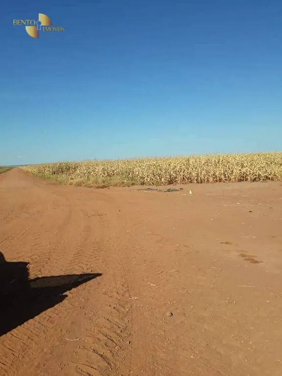 Fazenda à venda de 4.773 ha em Nova Xavantina, MT, Brasil