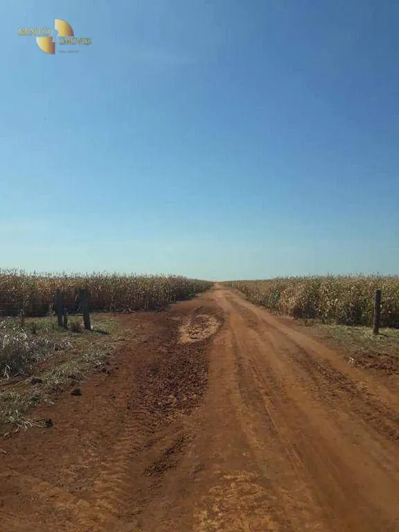 Fazenda à venda de 4.773 ha em Nova Xavantina, MT, Brasil