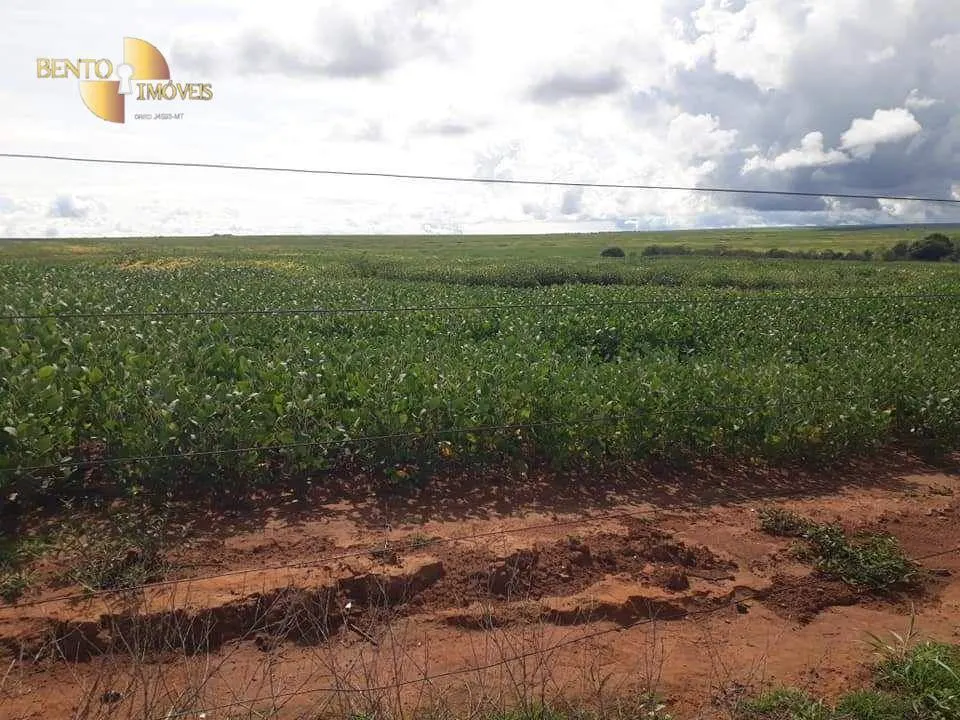 Fazenda à venda de 4.773 ha em Nova Xavantina, MT, Brasil