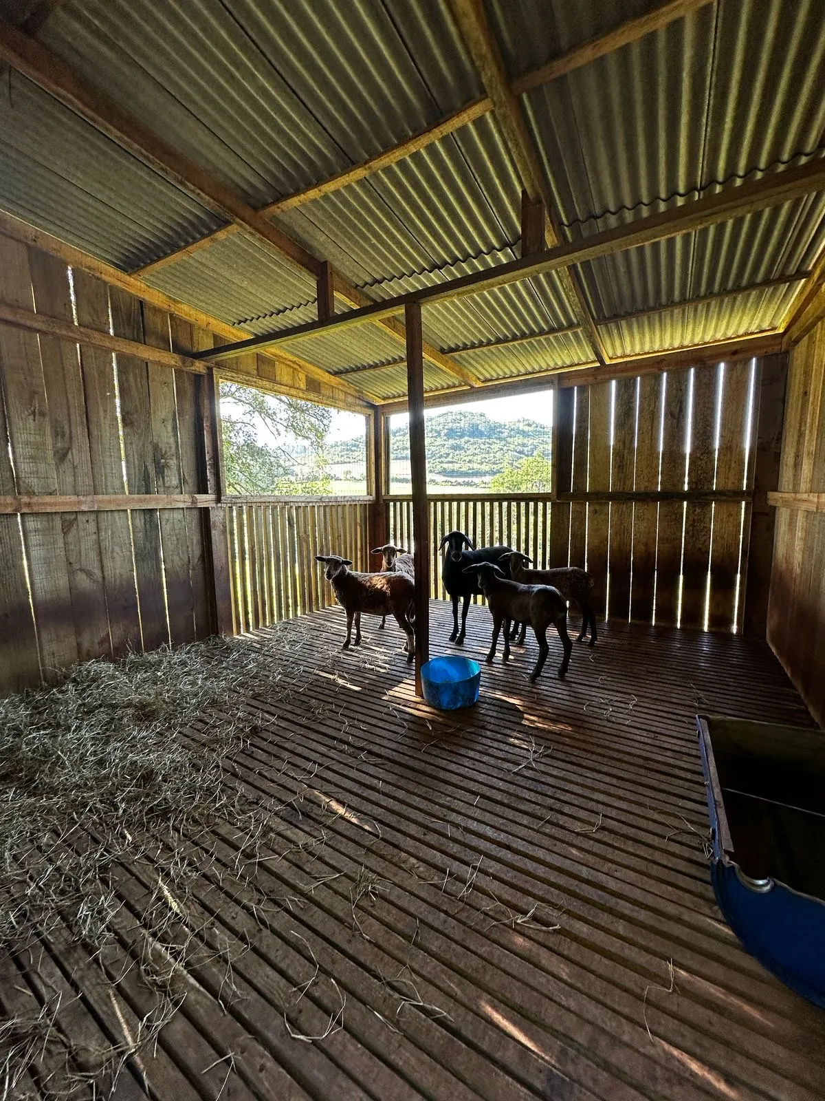 Sítio à venda de 6 ha em Santa Tereza do Oeste, PR, Brasil