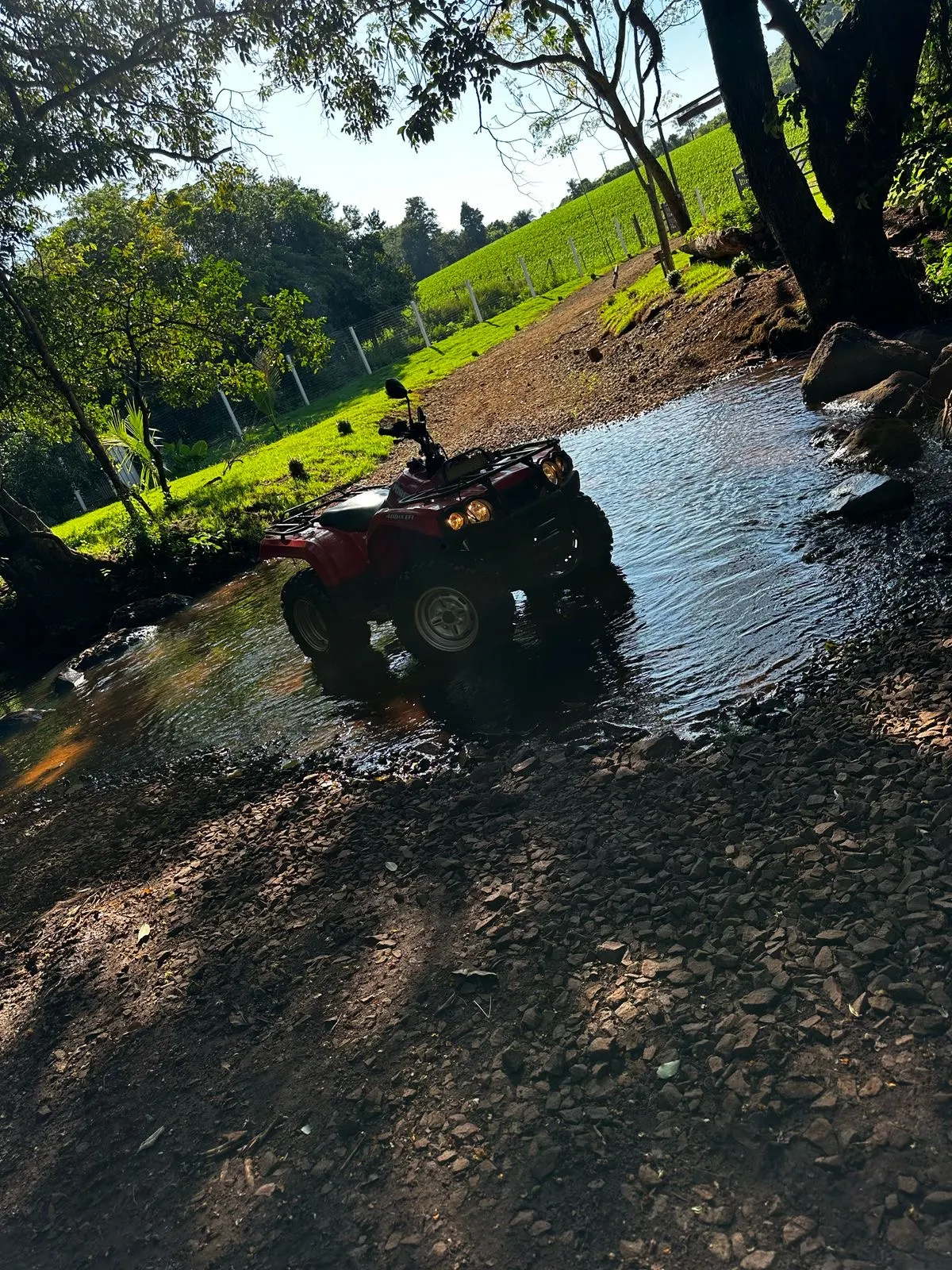 Sítio à venda de 6 ha em Santa Tereza do Oeste, PR, Brasil
