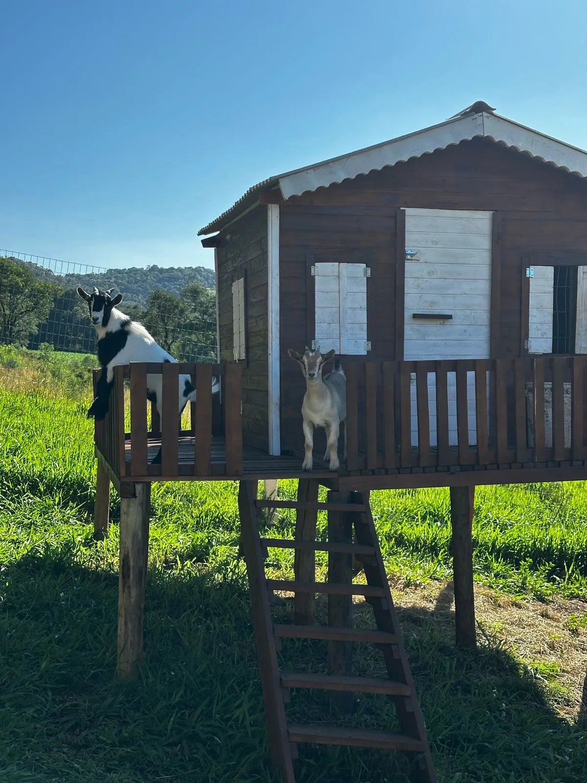 Sítio à venda de 6 ha em Santa Tereza do Oeste, PR, Brasil