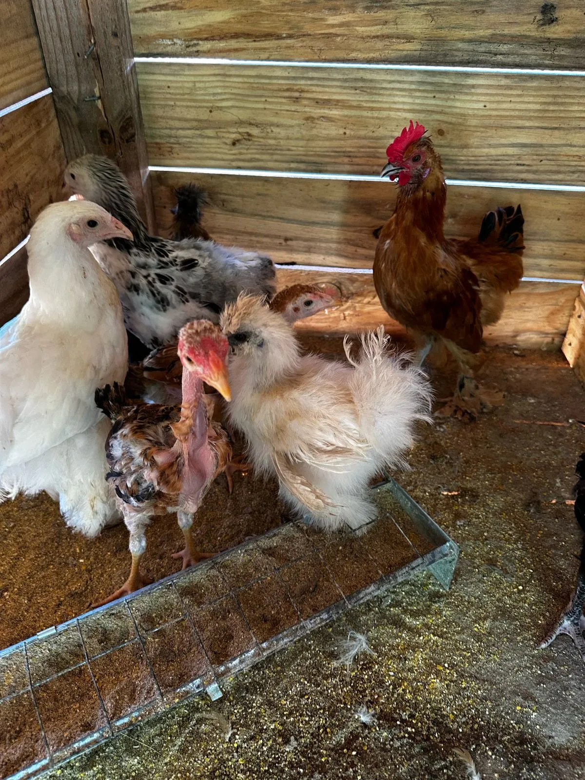 Sítio à venda de 6 ha em Santa Tereza do Oeste, PR, Brasil