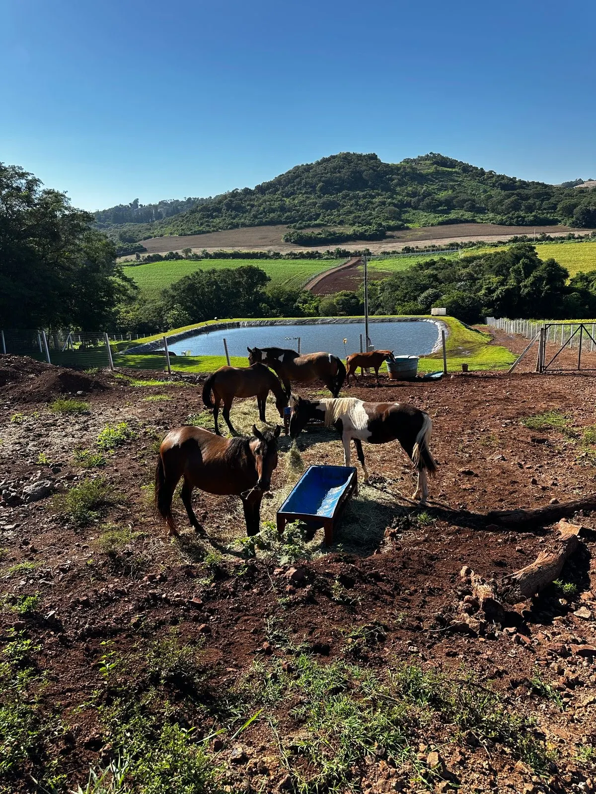 Sítio à venda de 6 ha em Santa Tereza do Oeste, PR, Brasil