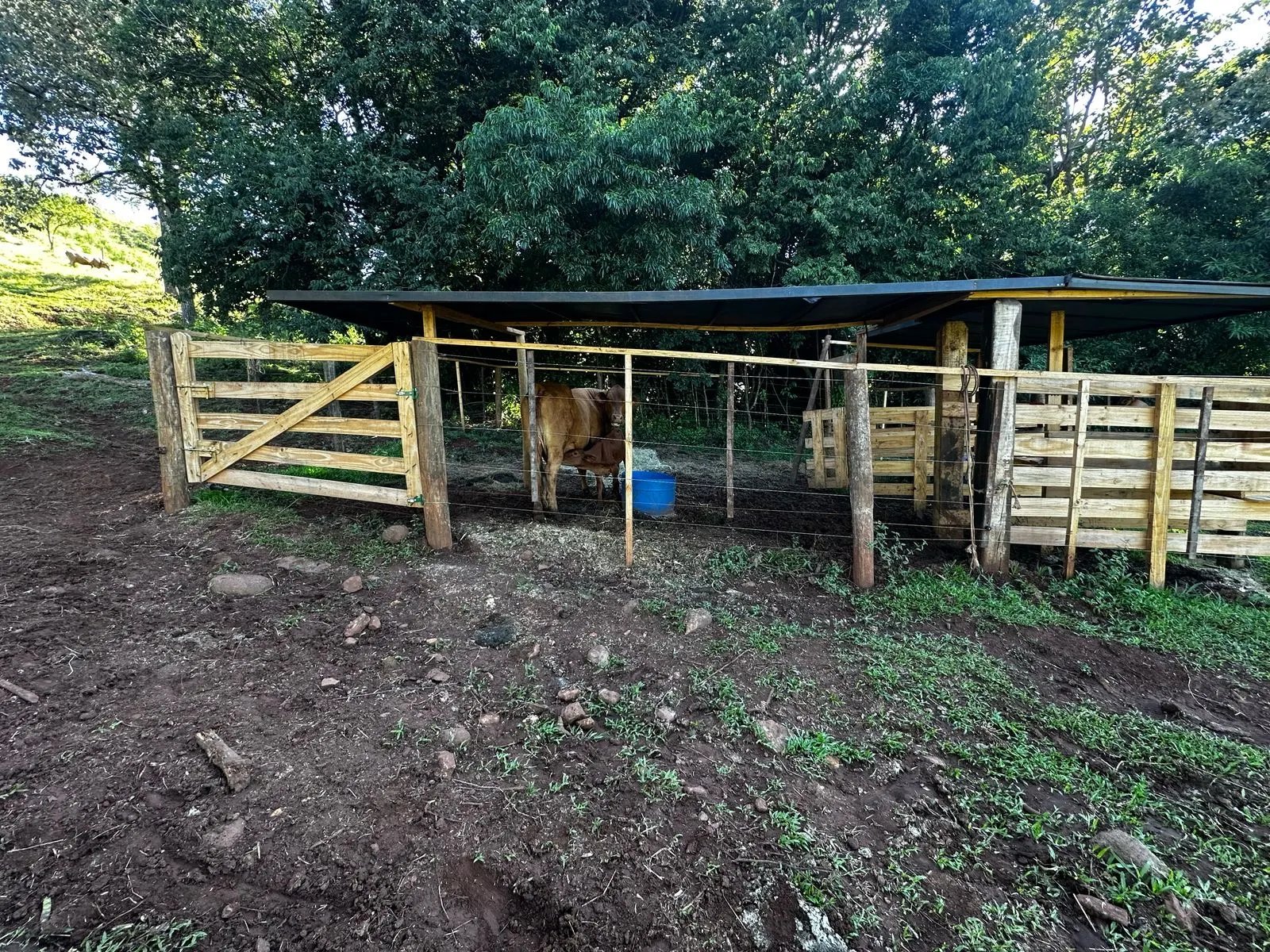 Sítio à venda de 6 ha em Santa Tereza do Oeste, PR, Brasil