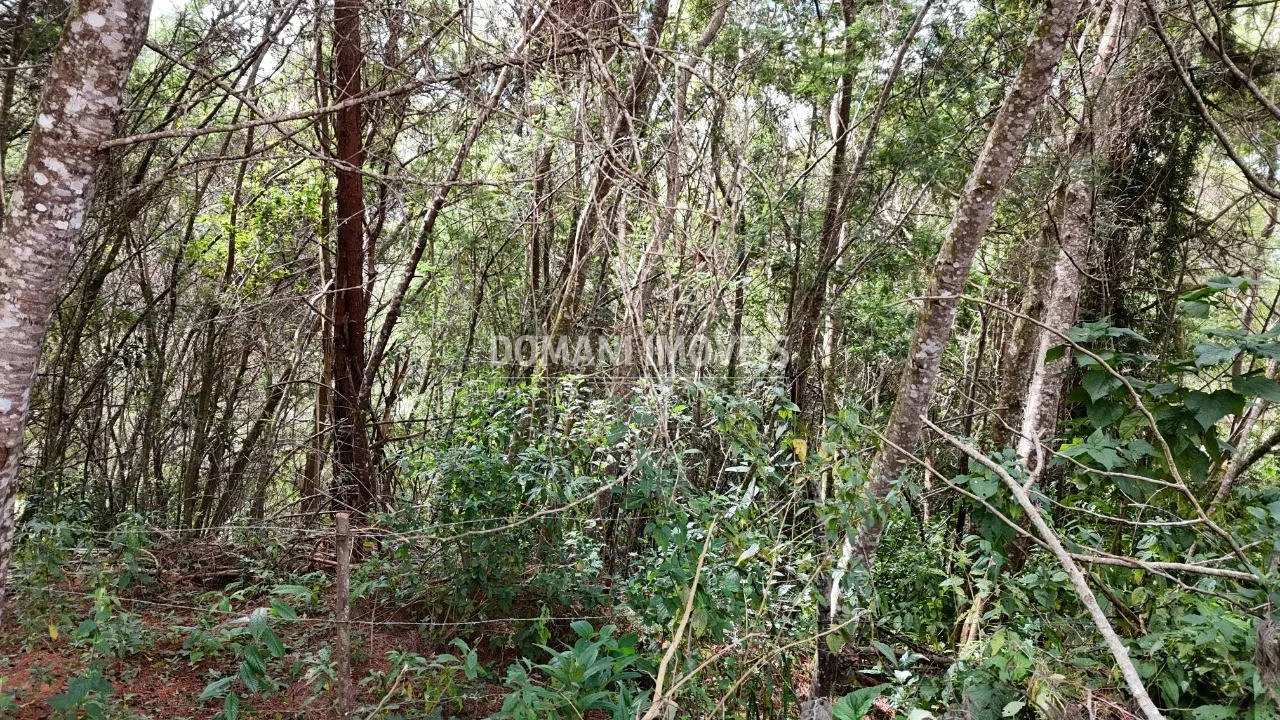 Plot for sale of 965 m² in Campos do Jordão, SP, Brazil