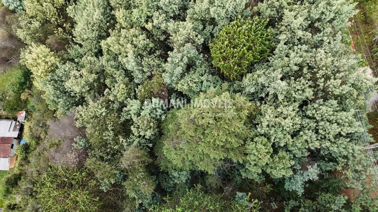 Plot for sale of 965 m² in Campos do Jordão, SP, Brazil