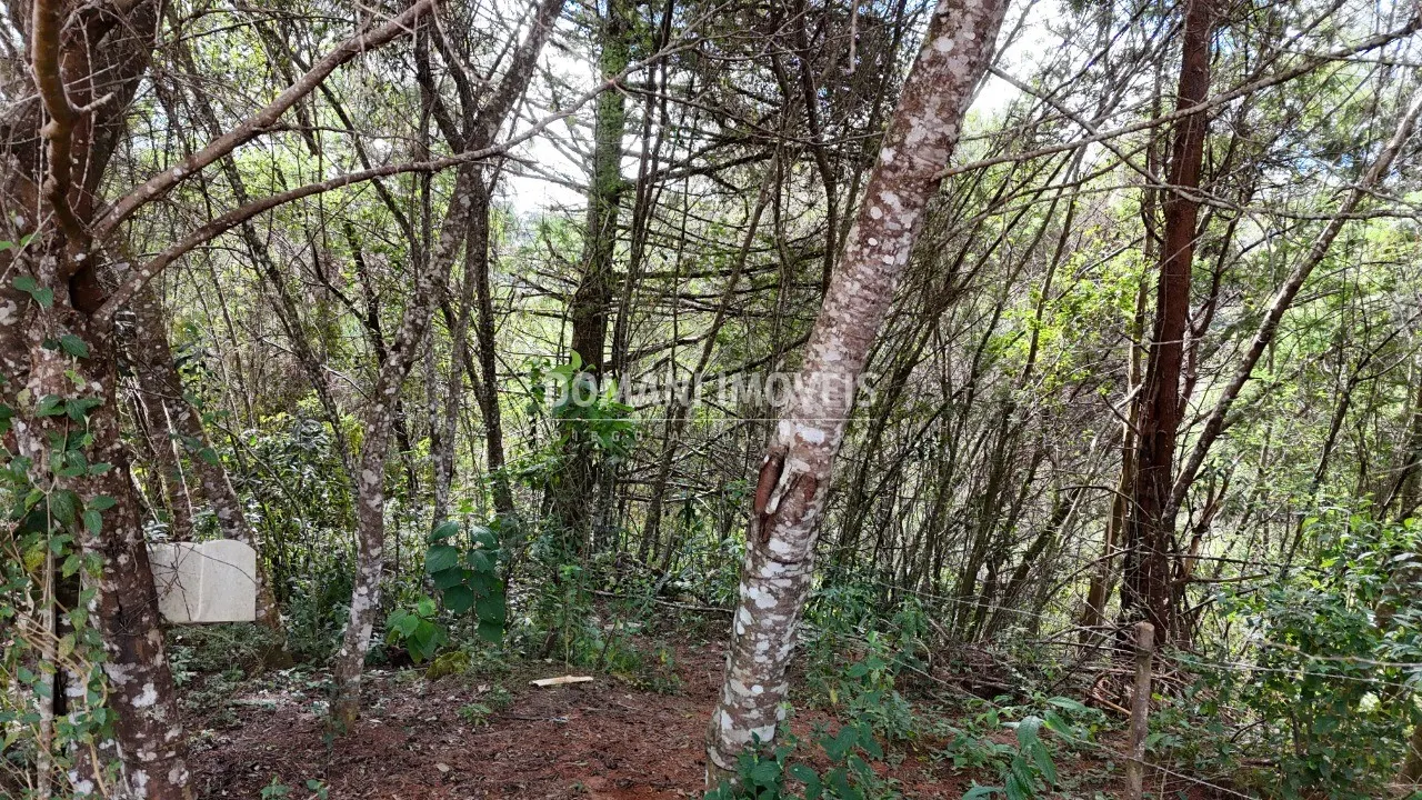 Plot for sale of 965 m² in Campos do Jordão, SP, Brazil
