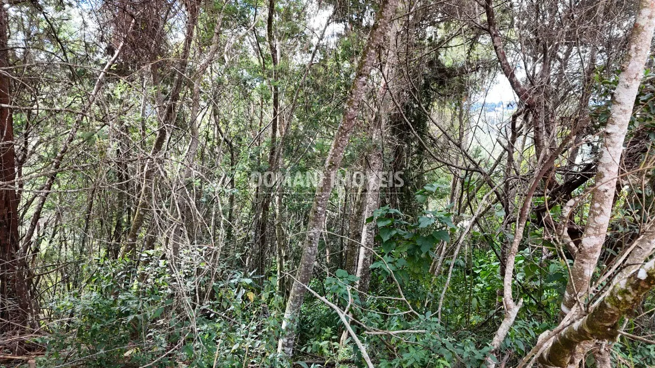 Plot for sale of 965 m² in Campos do Jordão, SP, Brazil