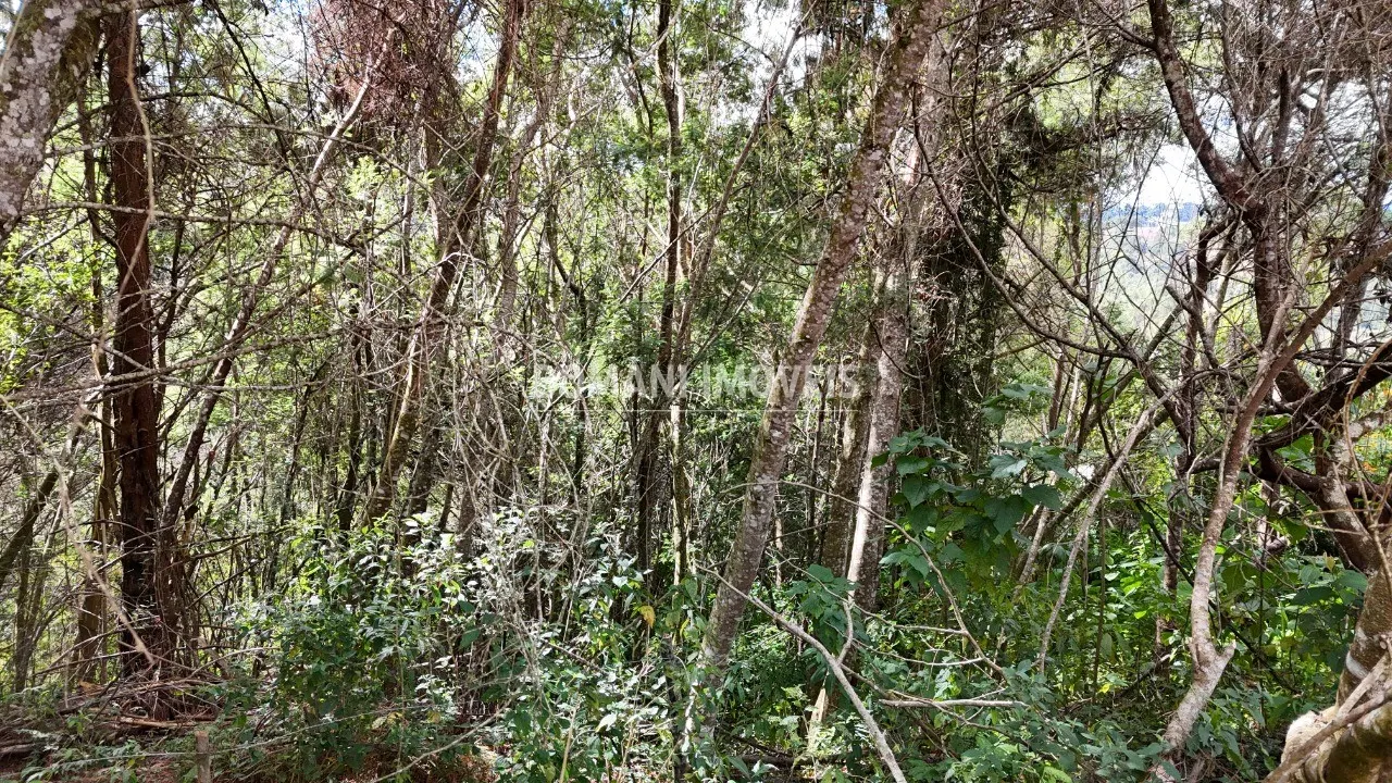 Plot for sale of 965 m² in Campos do Jordão, SP, Brazil