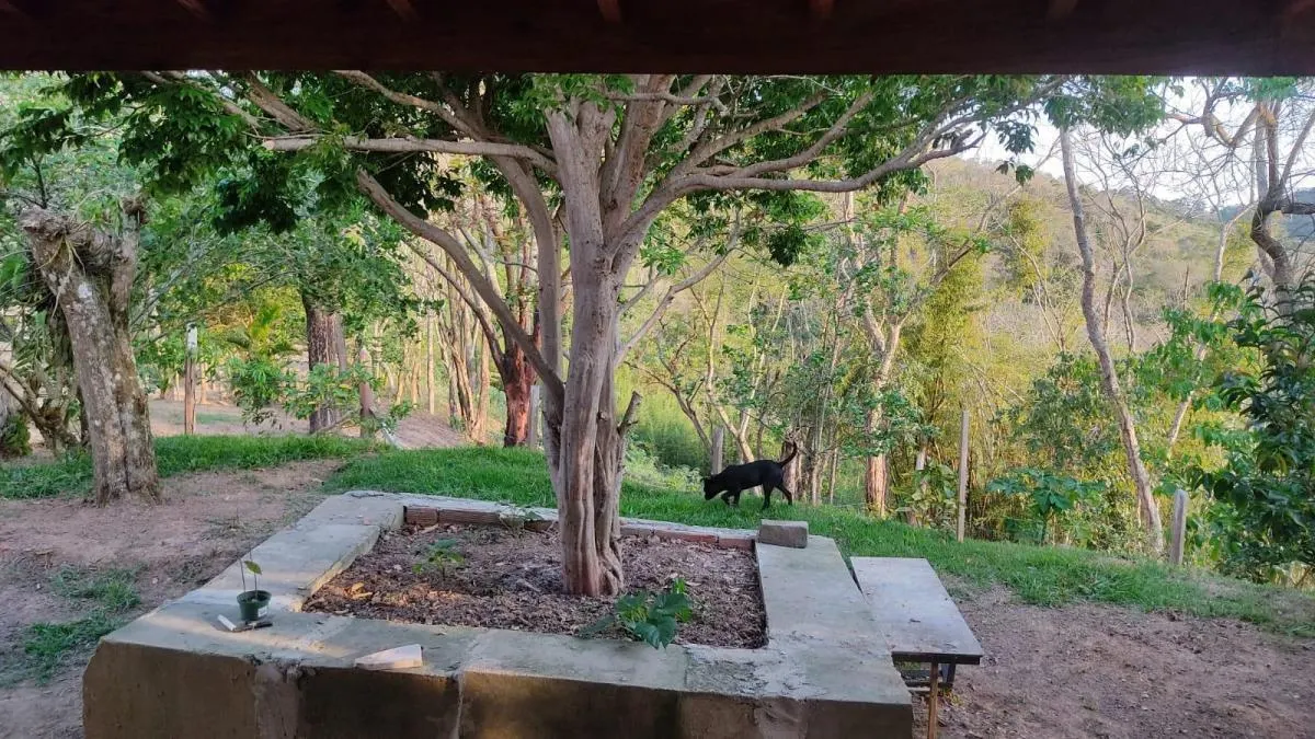 Sítio à venda de 3 ha em Jambeiro, SP, Brasil