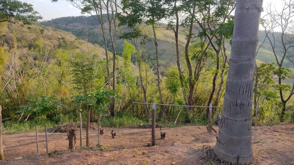 Sítio à venda de 3 ha em Jambeiro, SP, Brasil