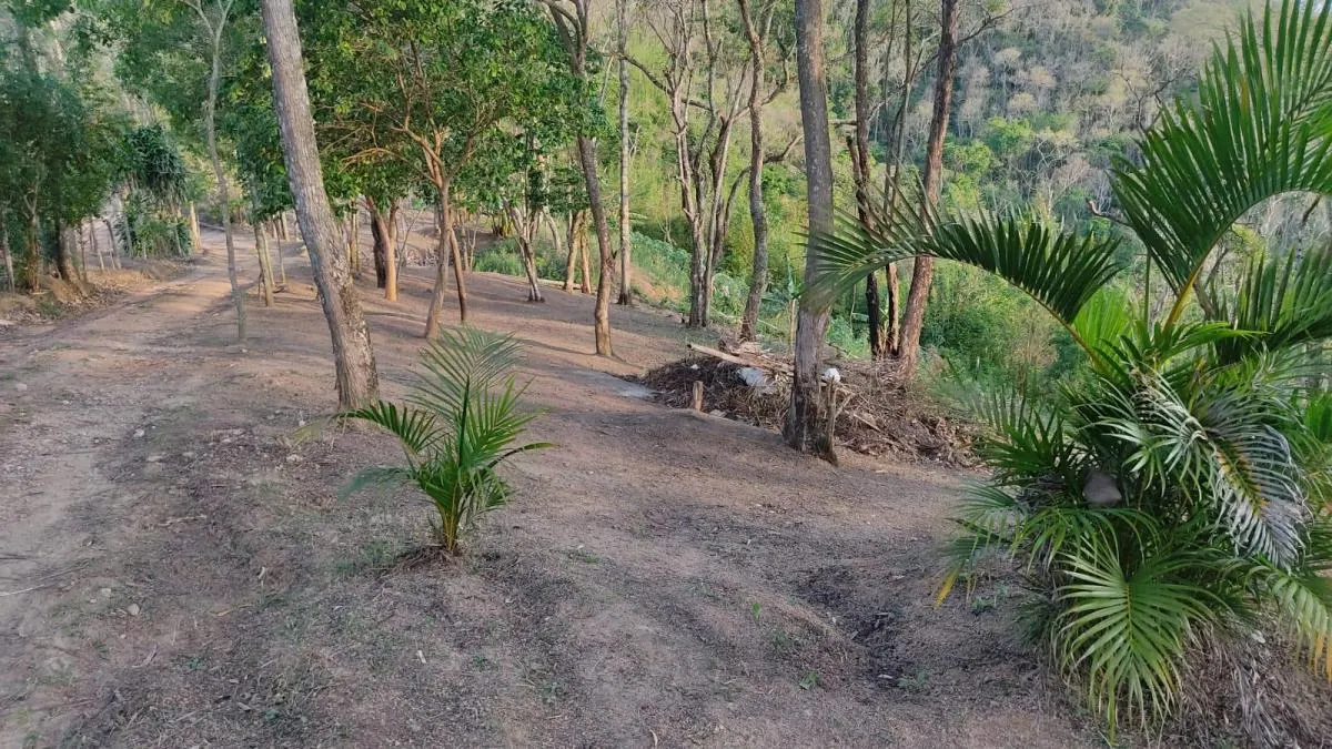 Sítio à venda de 3 ha em Jambeiro, SP, Brasil