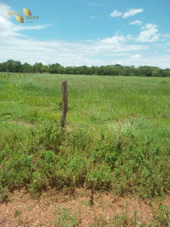 Farm for sale of 245 acres in Poconé, MT, Brazil