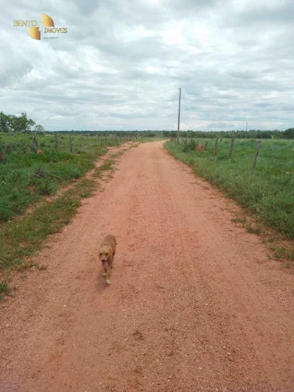 Farm for sale of 245 acres in Poconé, MT, Brazil