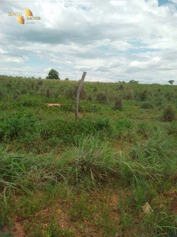 Farm for sale of 245 acres in Poconé, MT, Brazil