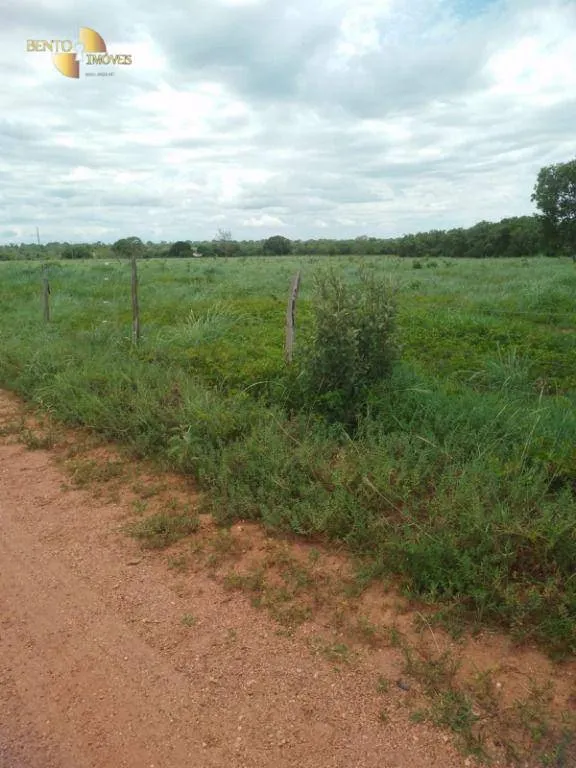 Farm for sale of 245 acres in Poconé, MT, Brazil