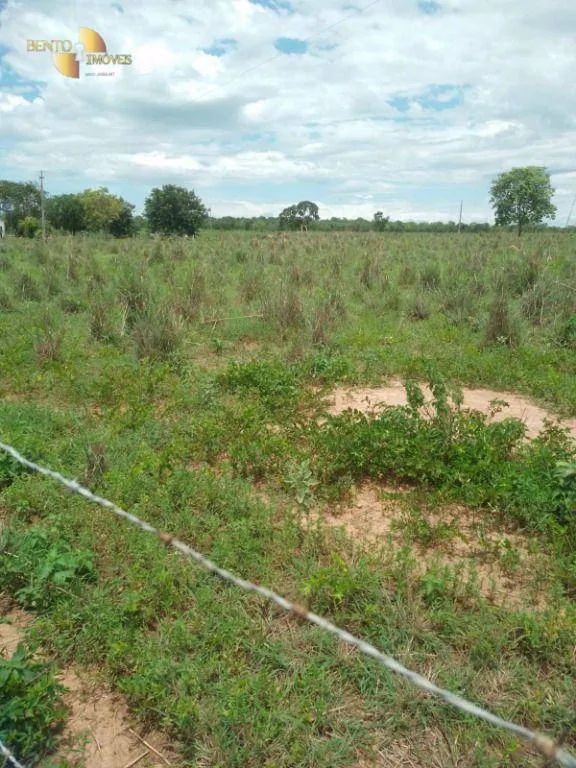 Farm for sale of 245 acres in Poconé, MT, Brazil