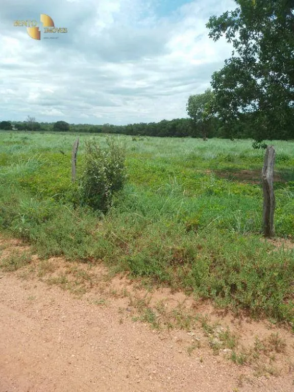Farm for sale of 245 acres in Poconé, MT, Brazil
