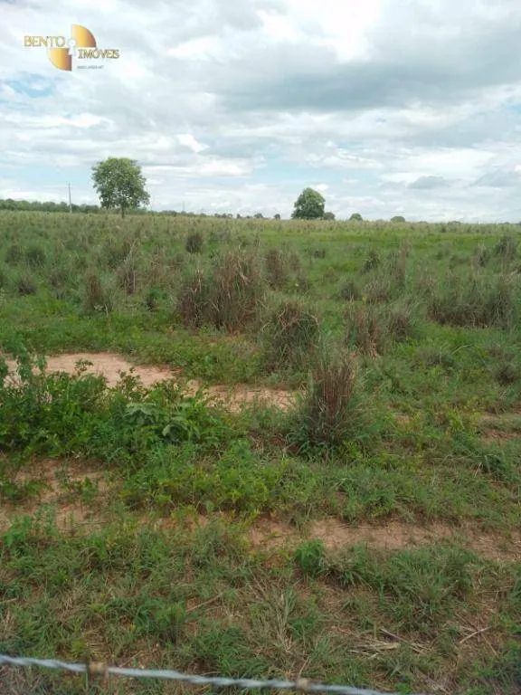 Farm for sale of 245 acres in Poconé, MT, Brazil