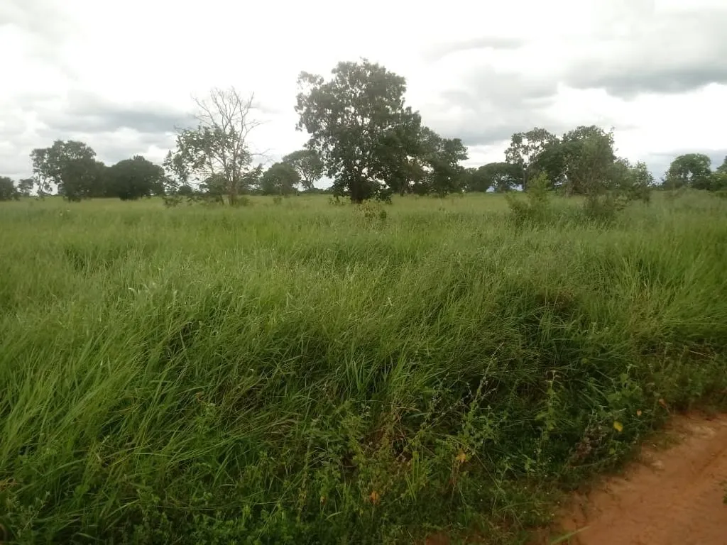 Farm for sale of 2,572 acres in Buritizeiro, MG, Brazil
