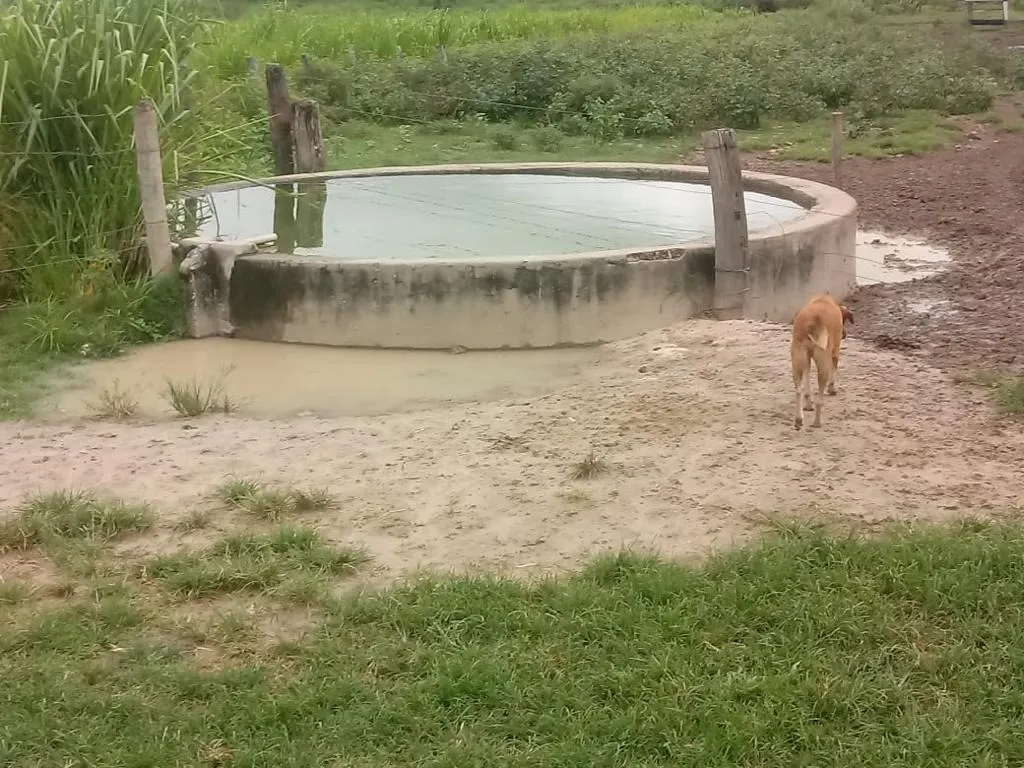 Farm for sale of 2,572 acres in Buritizeiro, MG, Brazil