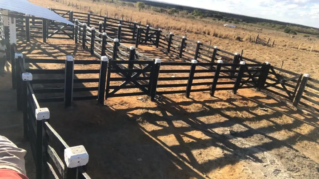 Fazenda à venda de 1.041 ha em Buritizeiro, MG, Brasil